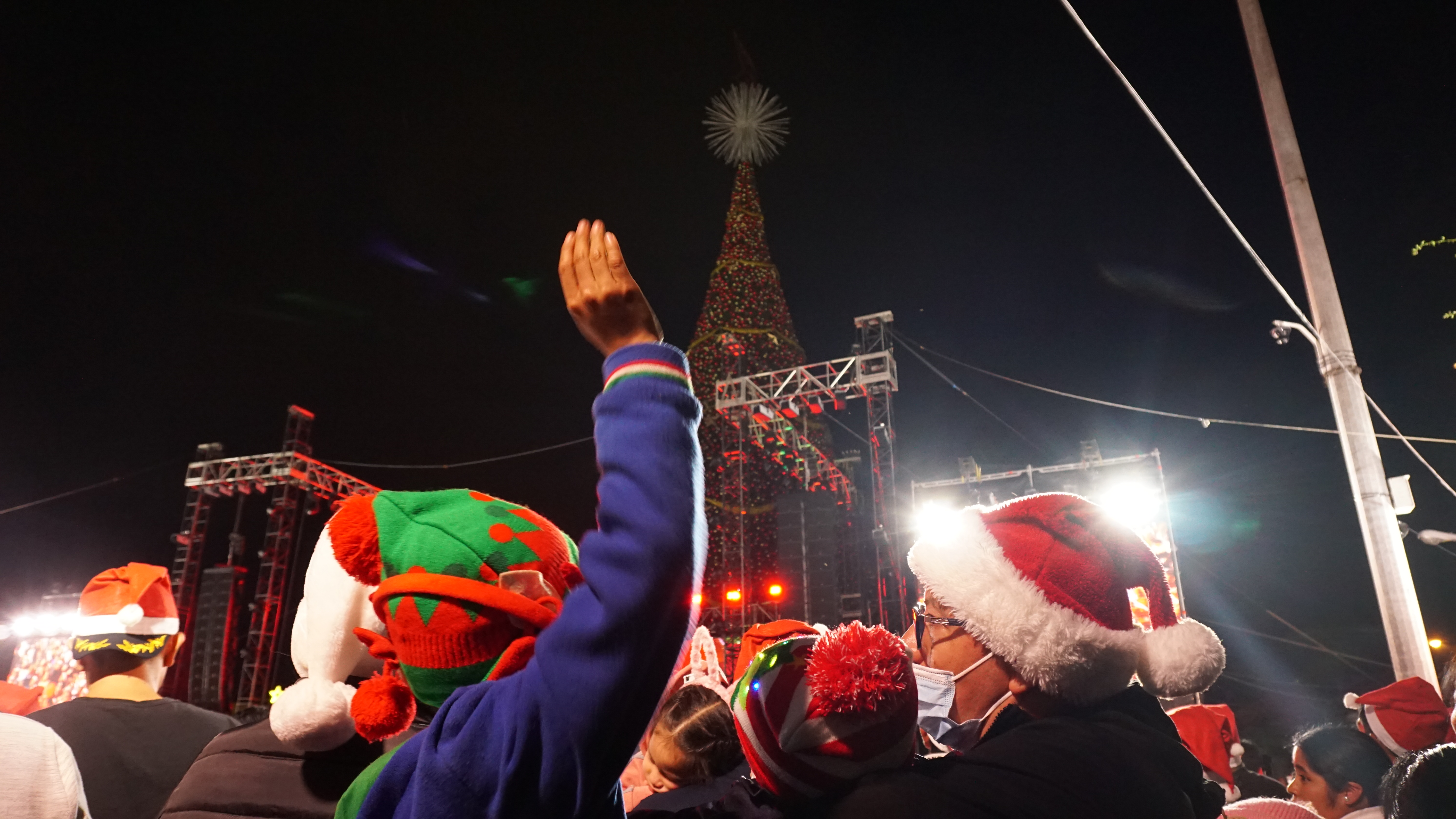 Árbol Gallo 2025 07'