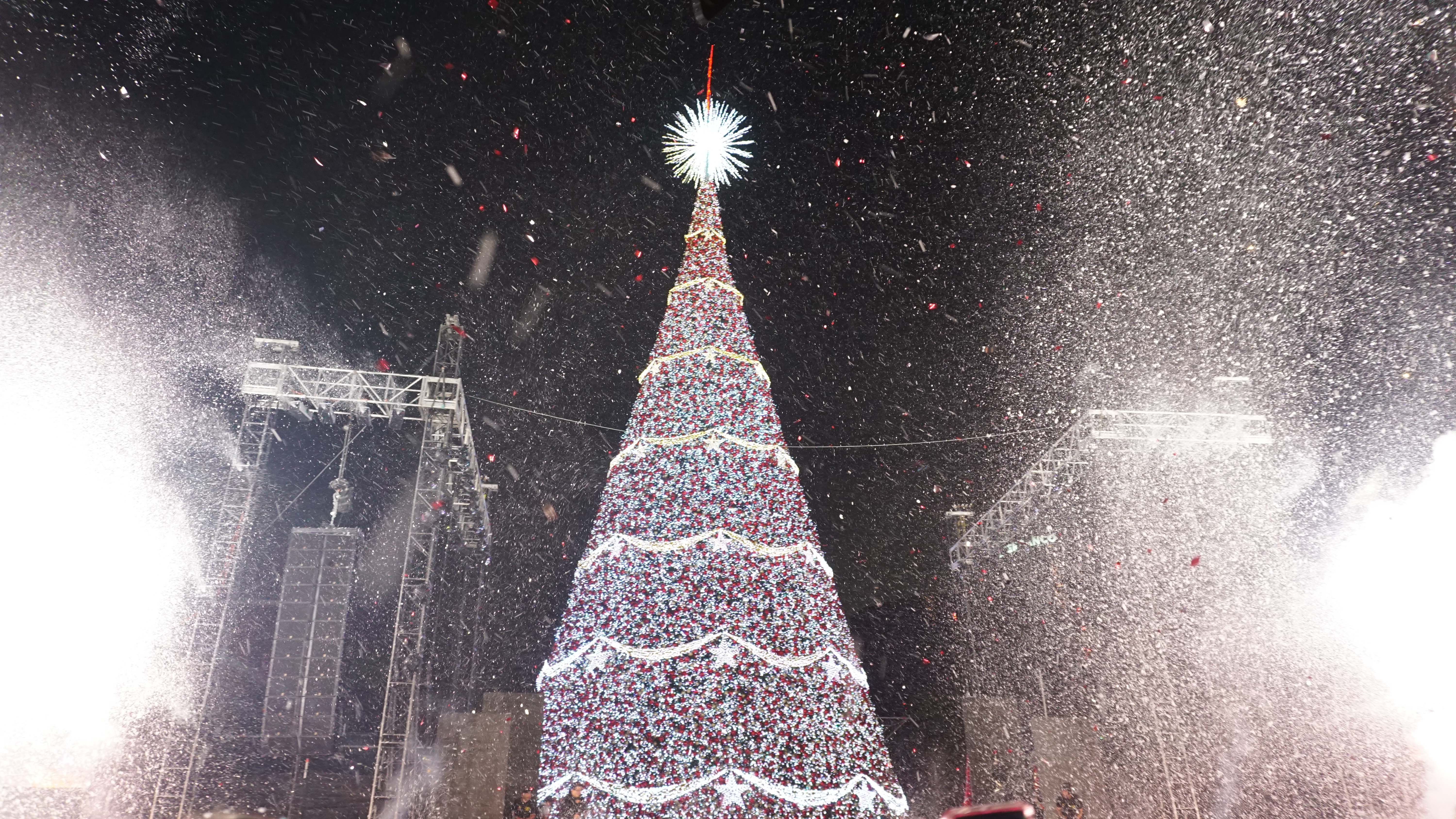 ENCENDIDO DEL ARBOL GALLO 2025'