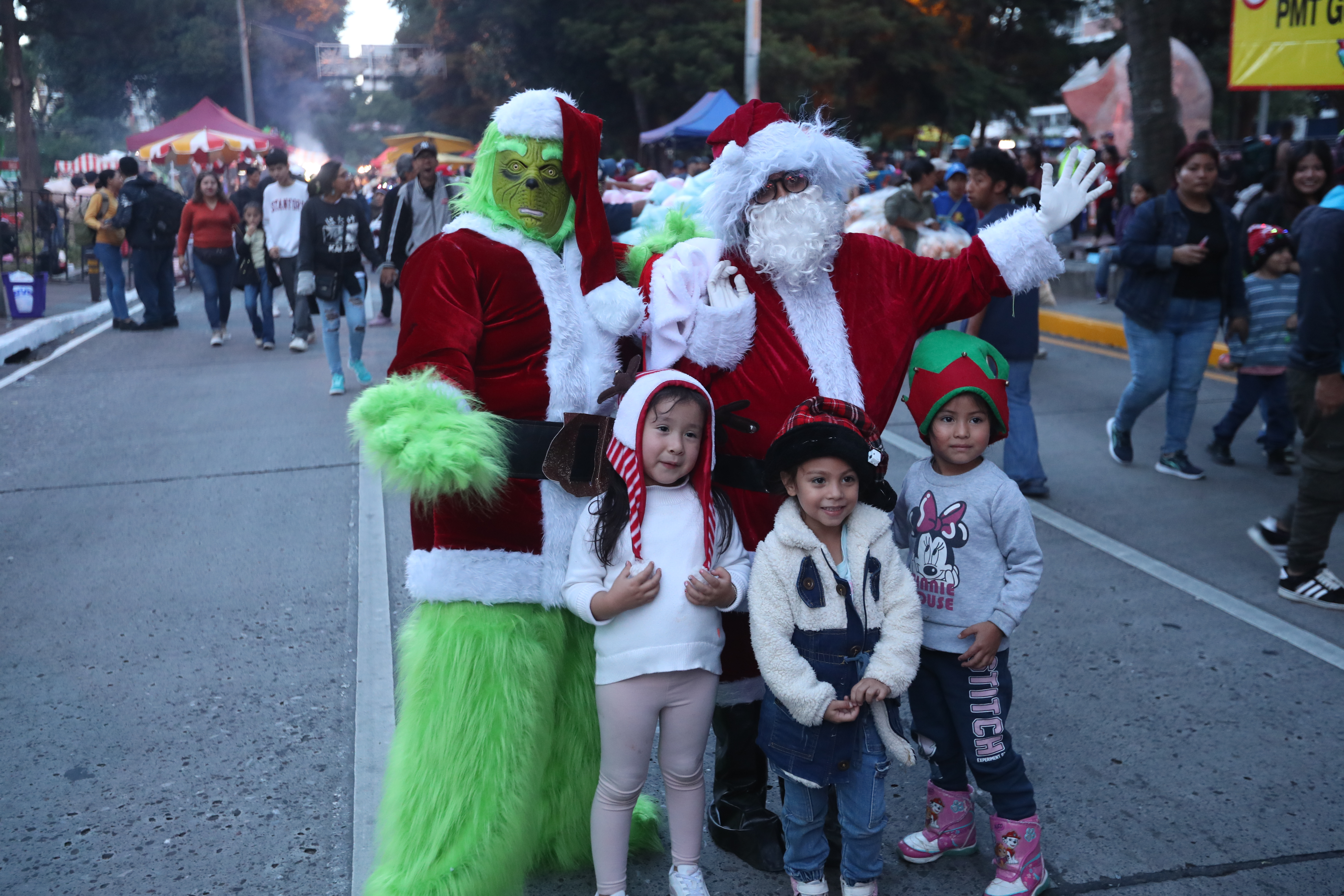 Árbol Gallo 2025 09'