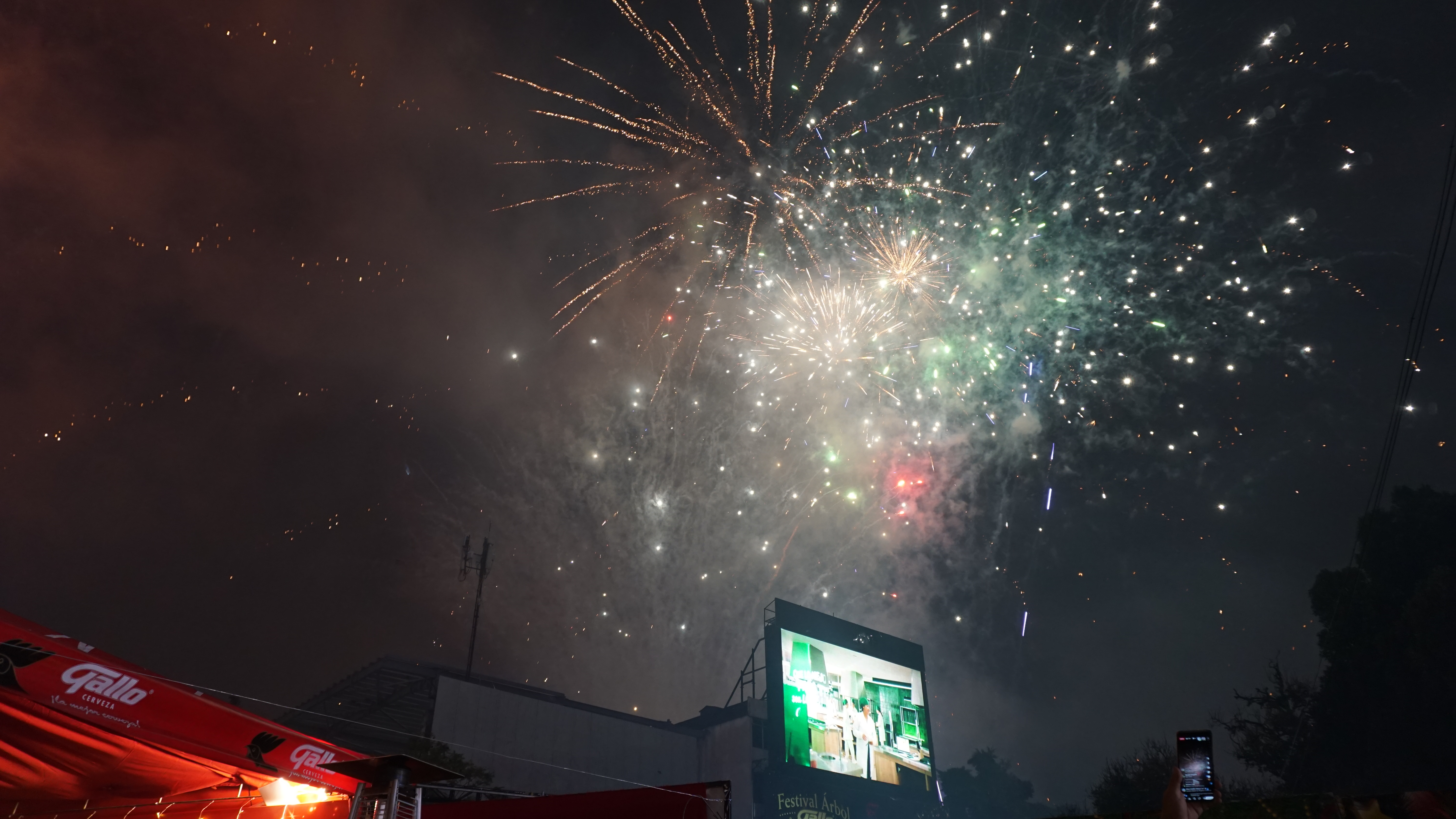 Árbol Gallo 2025 10'