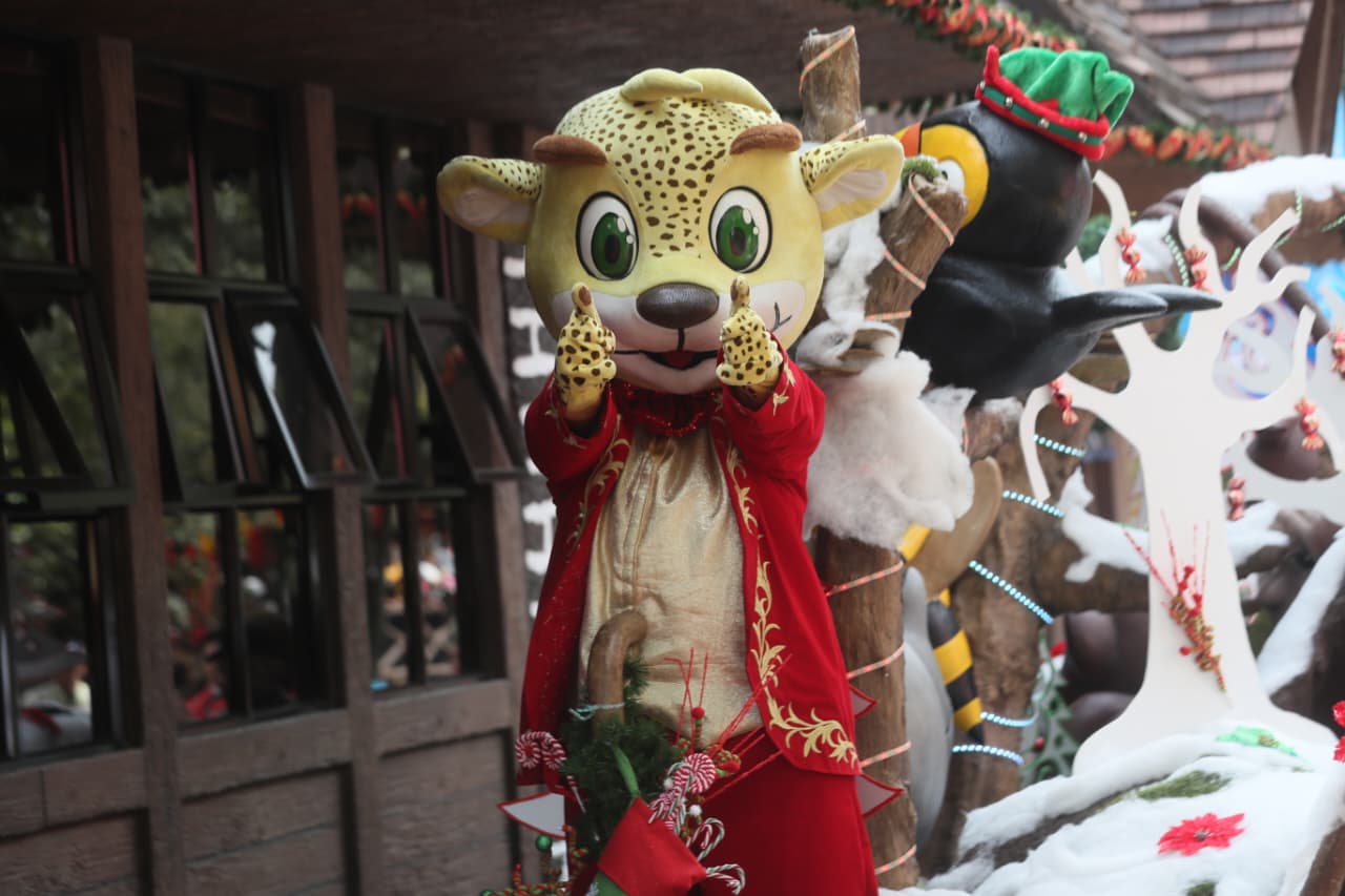 CARROZAS Y DESFILES NAVIDAD 2025'