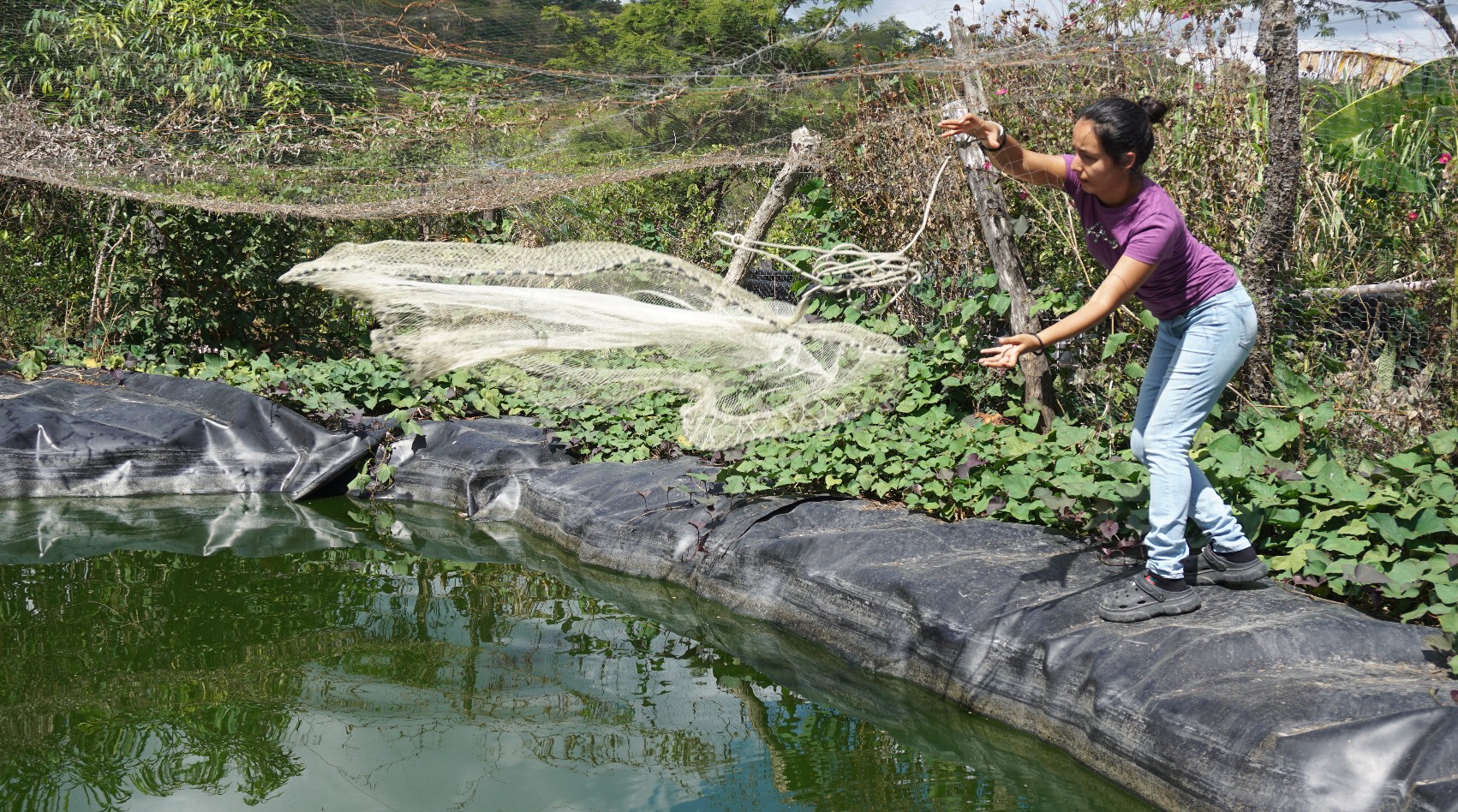 Cosechar agua: la estrategia que sostiene al Corredor Seco