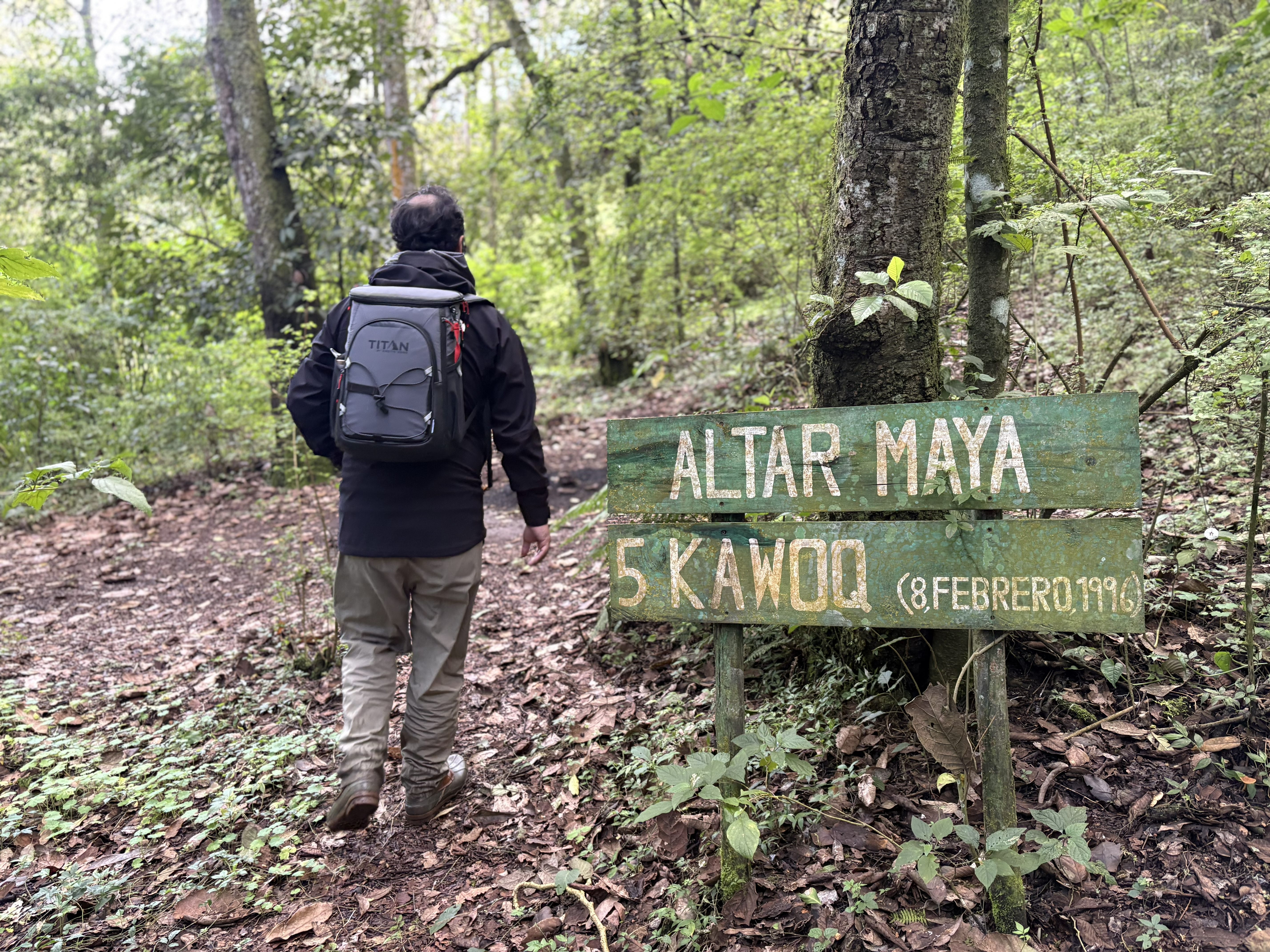 Terapia de bosque en Guatemala.