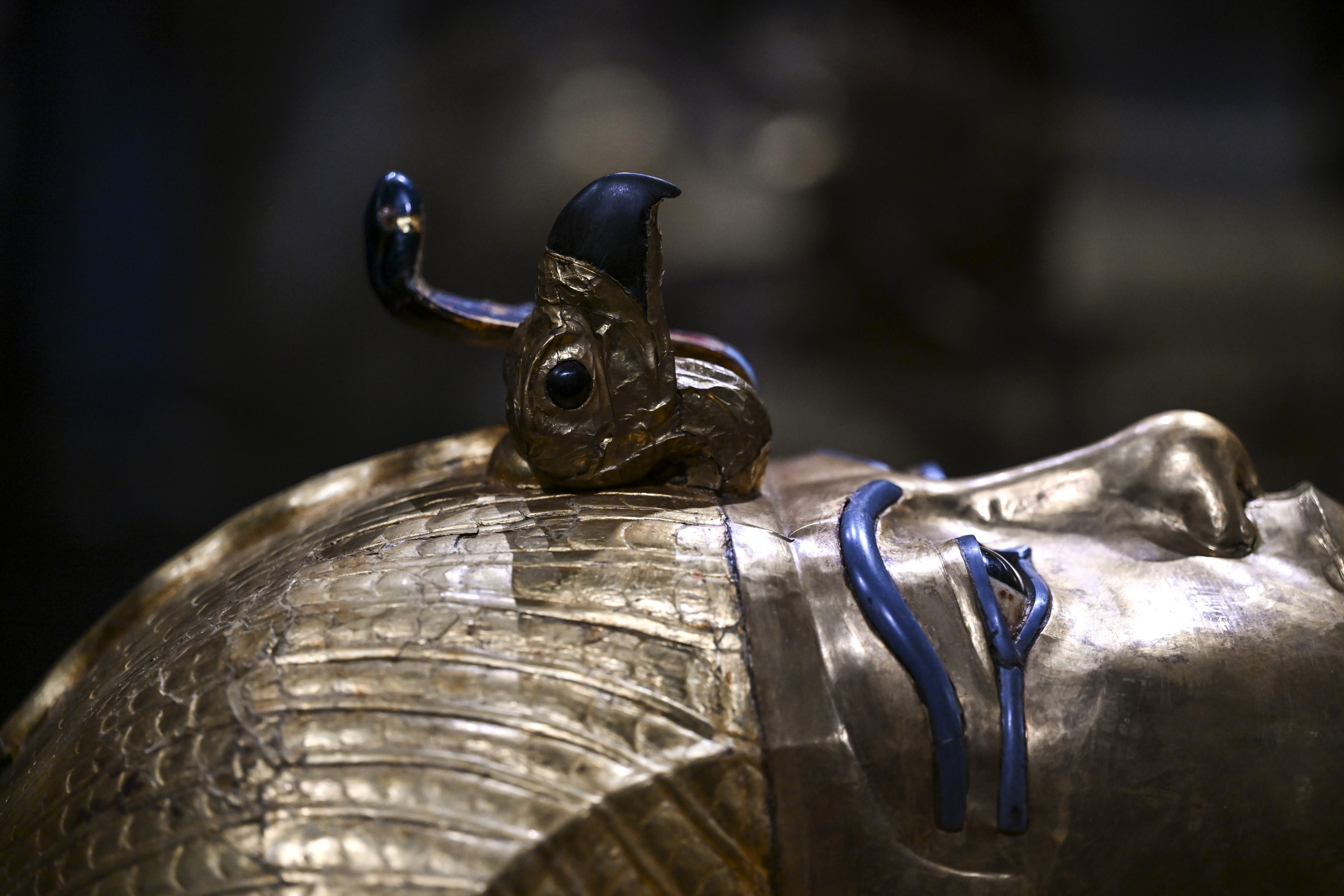 EXHIBICION GRAN MUSEO EGIPTO'