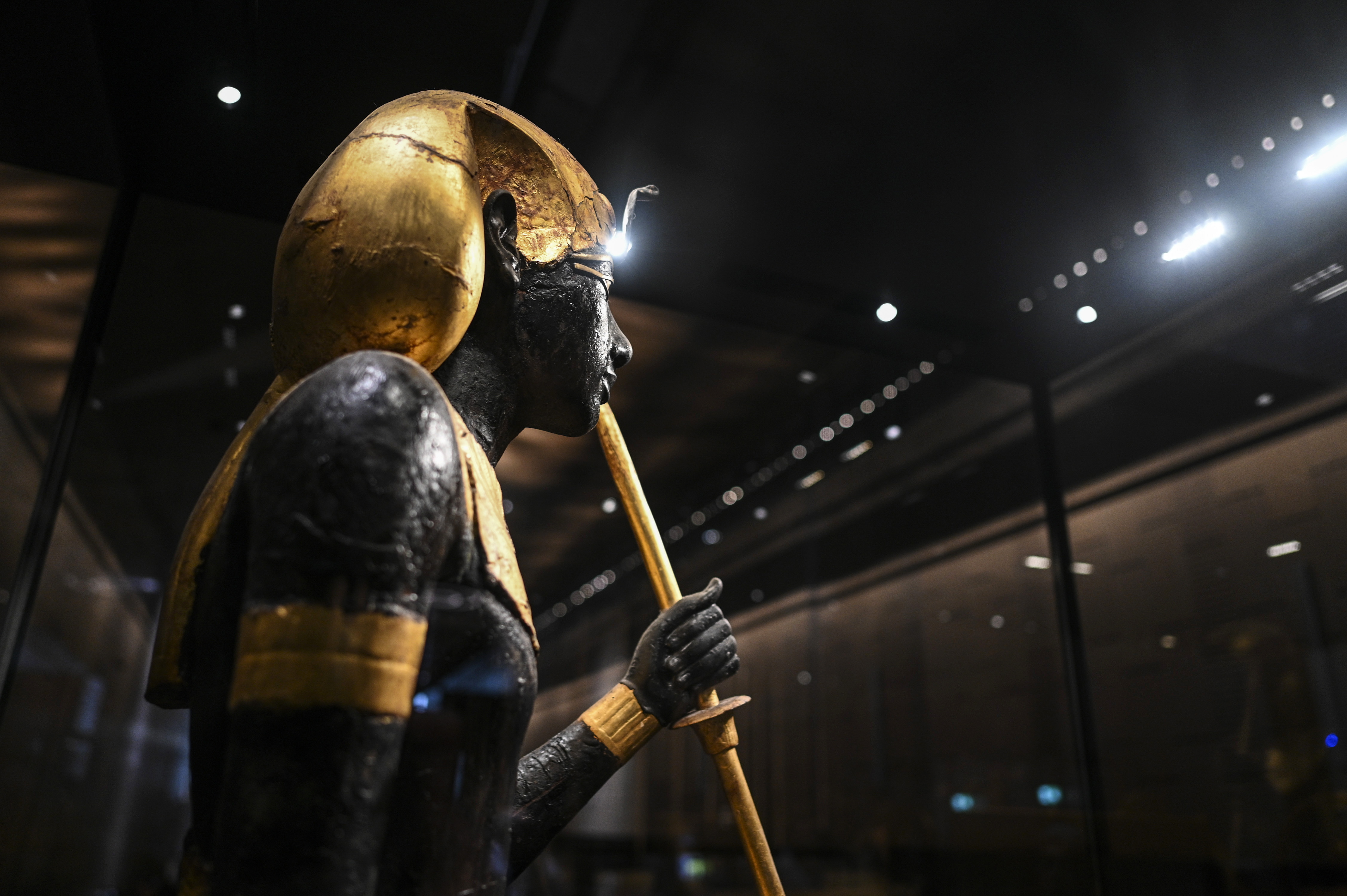 EXHIBICION GRAN MUSEO EGIPTO'