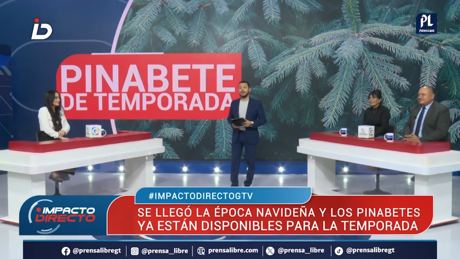 Feria del Pinabete abre temporada navideña con venta legal de árboles