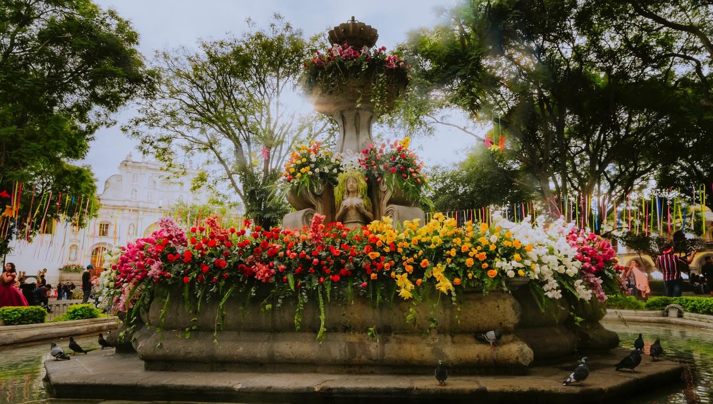 Festival de las Flores 2025: parqueos, zona peatonal, servicio de buses y mapa del plan vehicular en Antigua Guatemala