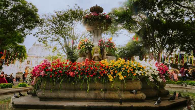 Festival de las Flores 2