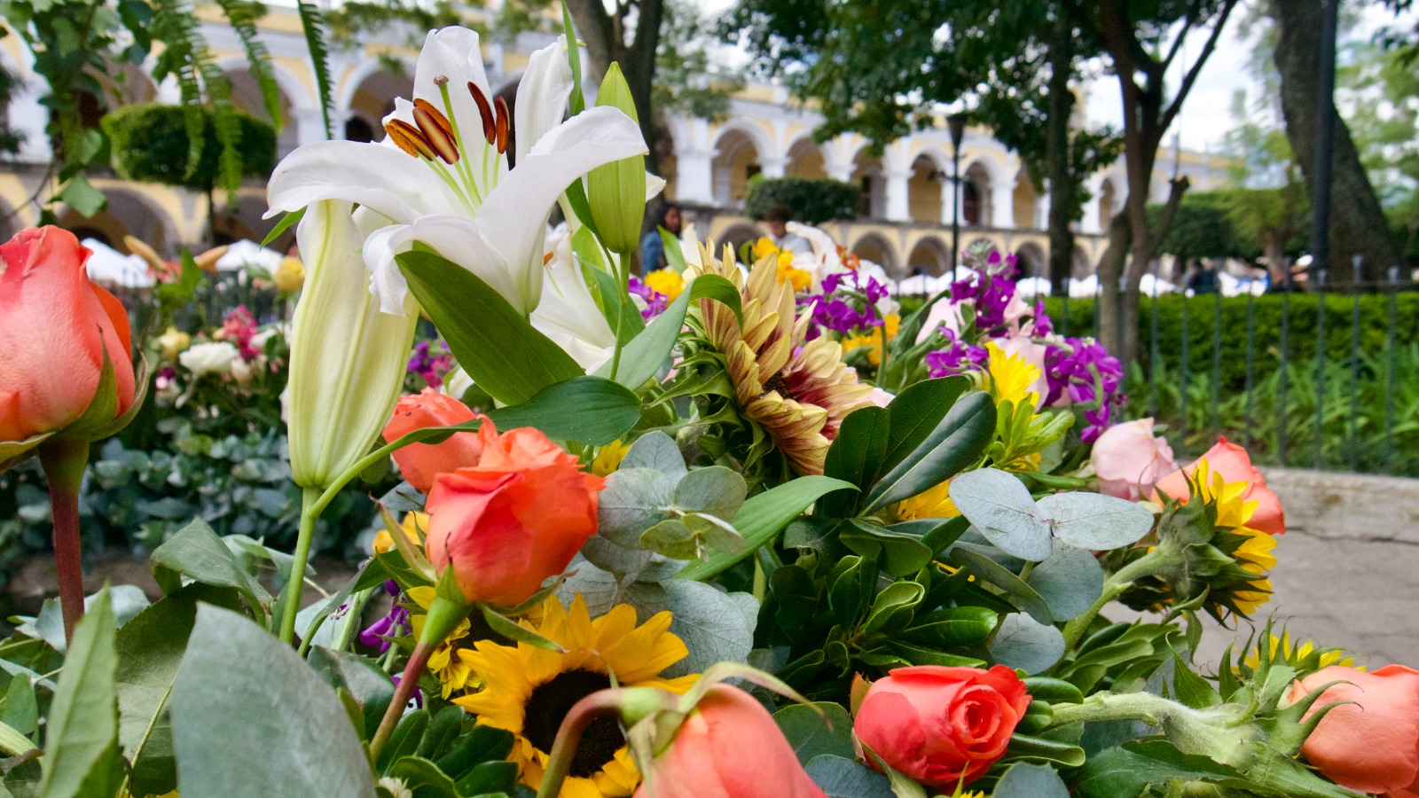 Fetival de las Flores 10'