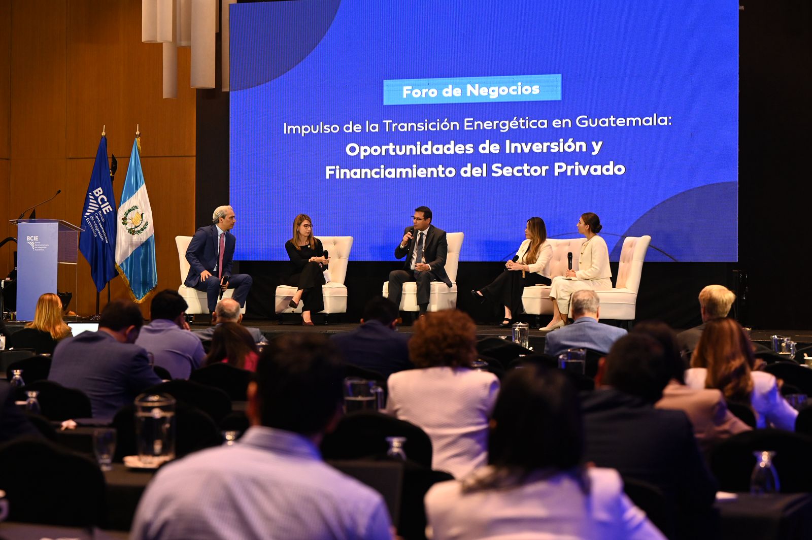 Licitación PEG-5: Organismo llama a la agilización de inversiones para asegurar energía en 2030