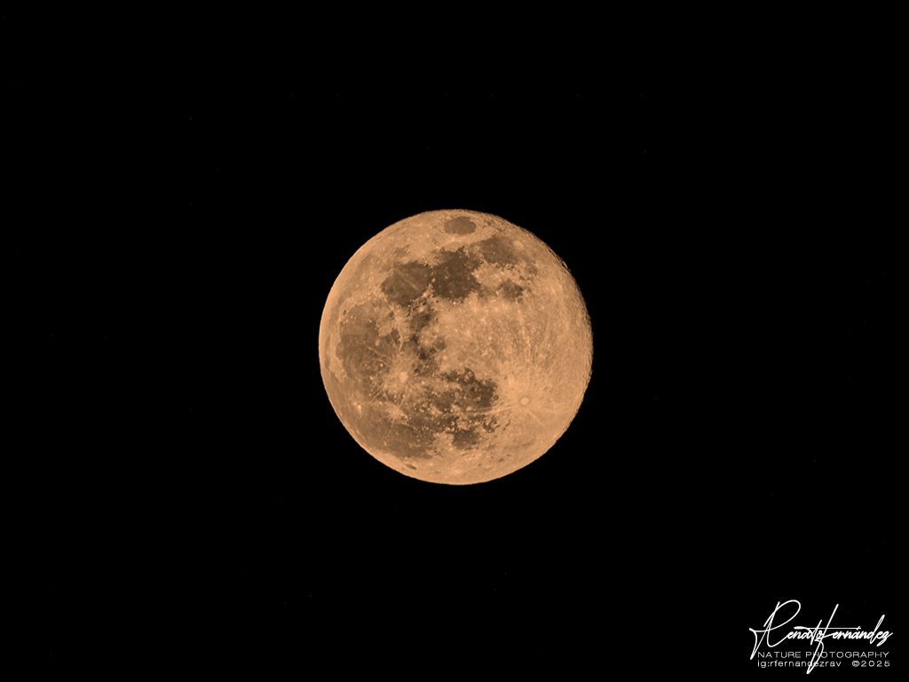 Luna fría: cuándo ver la última Luna Llena del año y qué eclipses ...