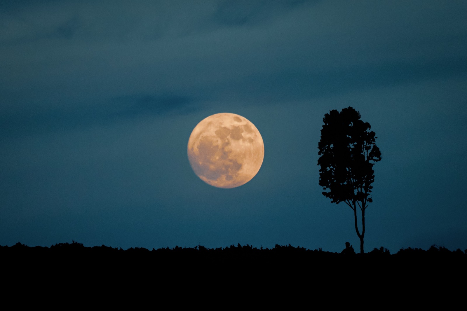 Luna llena del 5 de noviembre: por qué será la más luminosa del año y cómo verla