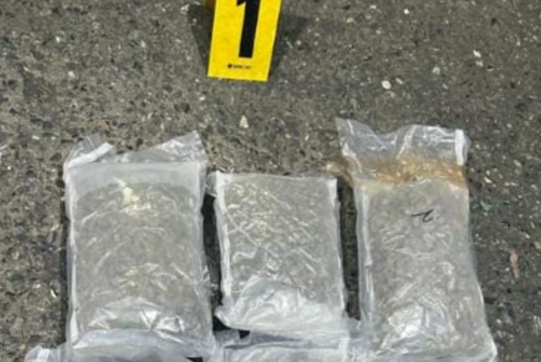 Incautan droga en contenedor con encomiendas en el puerto Santo Tomás de Castilla