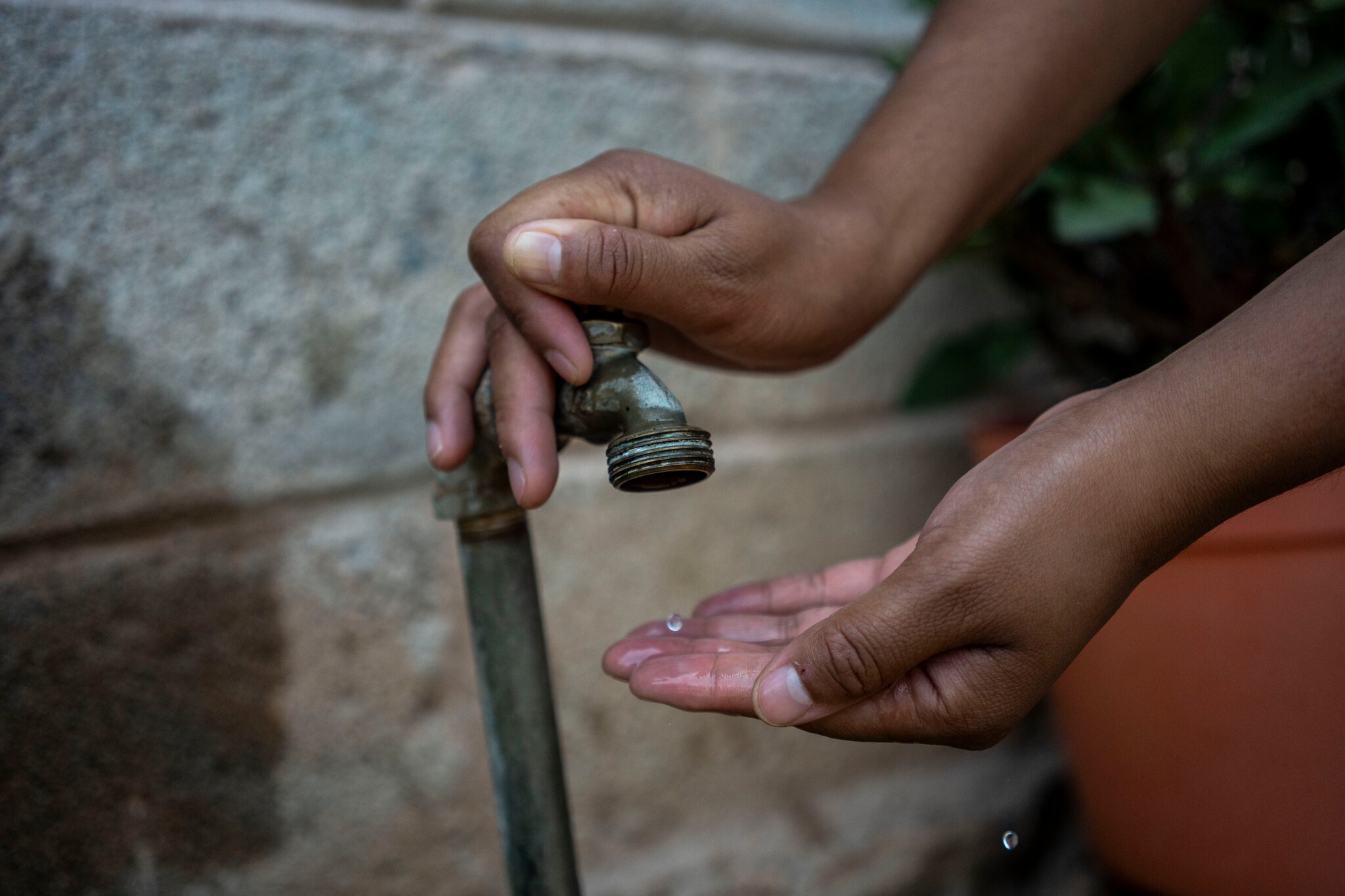 Furor por la IA causa adversidad