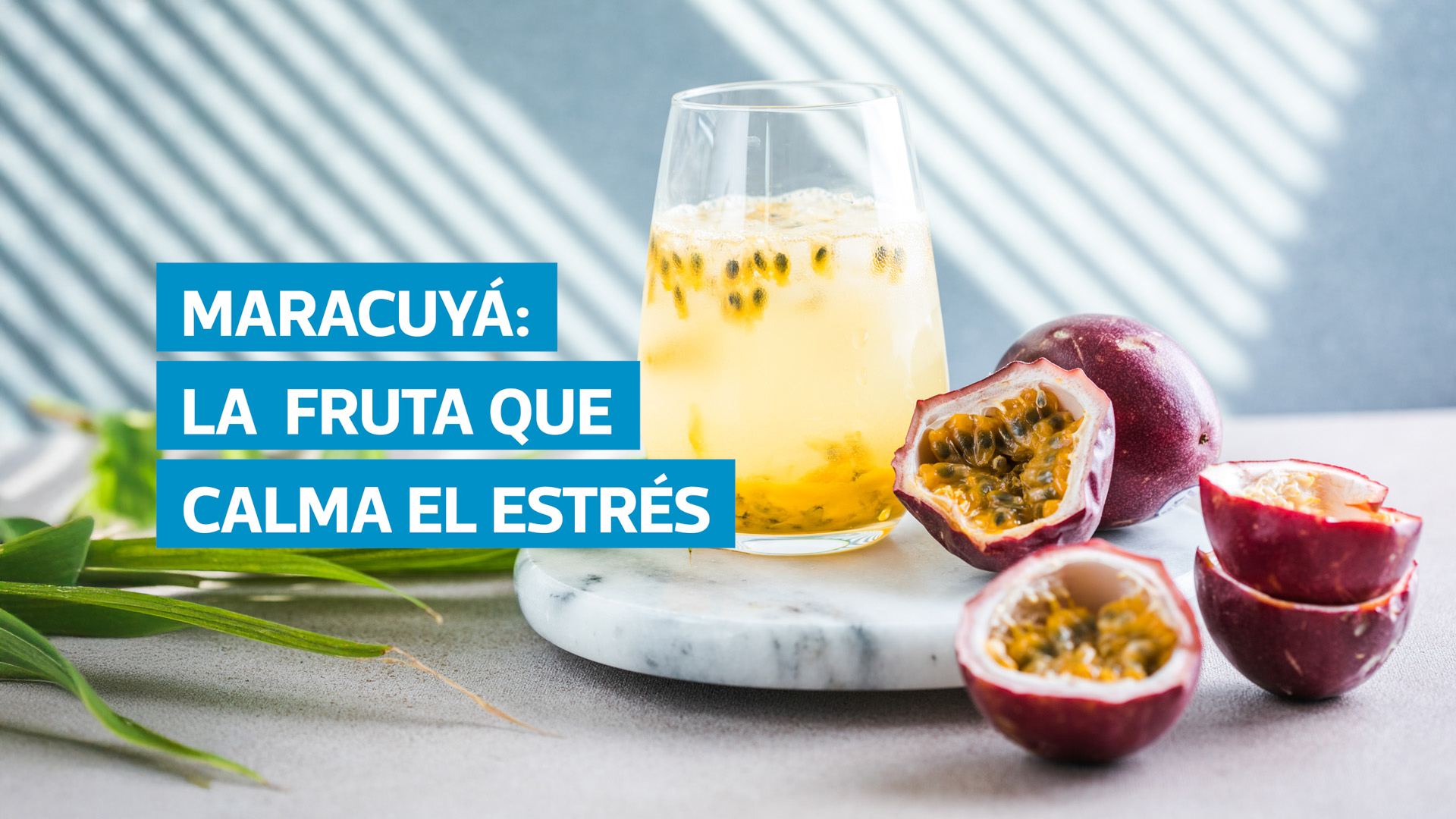 El maracuyá es una fruta tropical rica en antioxidantes, fibra y vitaminas que favorece la digestión, la salud del corazón y ayuda a conciliar el sueño gracias a su aporte de vitamina C y triptófano.