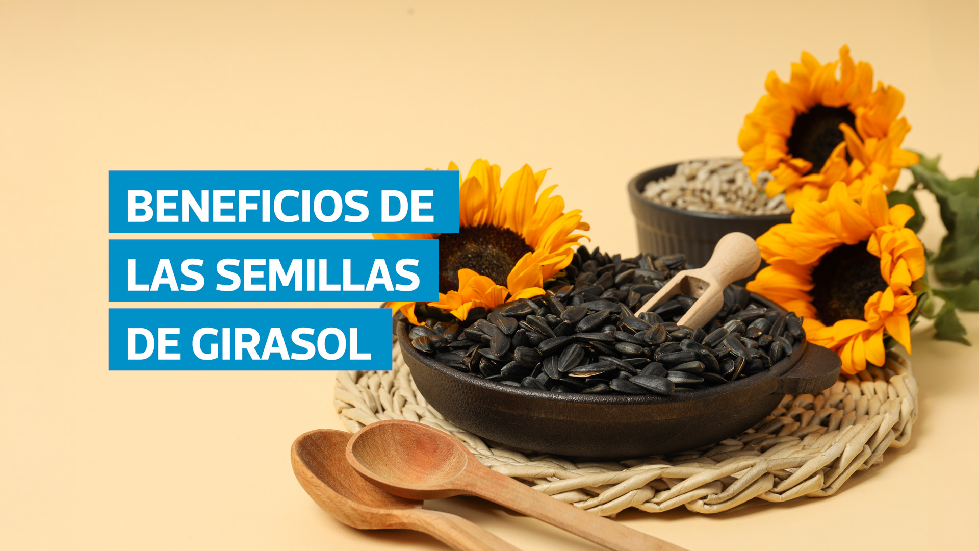 Las semillas de girasol destacan por su alto valor nutricional. Son fuente de antioxidantes, vitamina E y grasas saludables que favorecen al corazón, la piel y el sistema inmune.