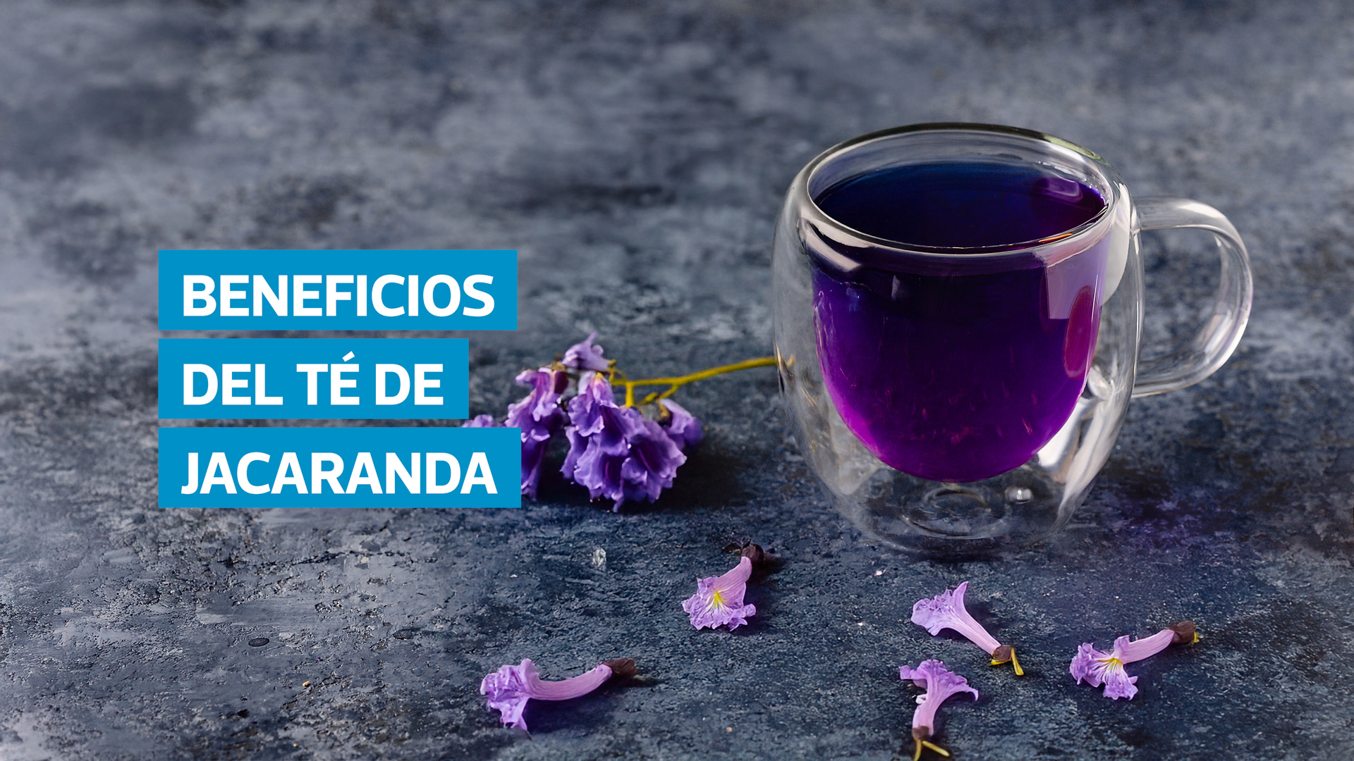 Las flores, hojas y raíces de la jacaranda poseen compuestos naturales con propiedades antioxidantes, antiinflamatorias y analgésicas. Según estudios de la UNAM, su consumo en infusión puede fortalecer el sistema inmunológico y mejorar la salud intestinal.