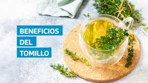 El tomillo, una hierba aromática con múltiples propiedades medicinales, ayuda a aliviar la tos, fortalecer el sistema inmunitario y reducir el estrés. Expertos explican cómo prepararlo y cuándo evitar su consumo.