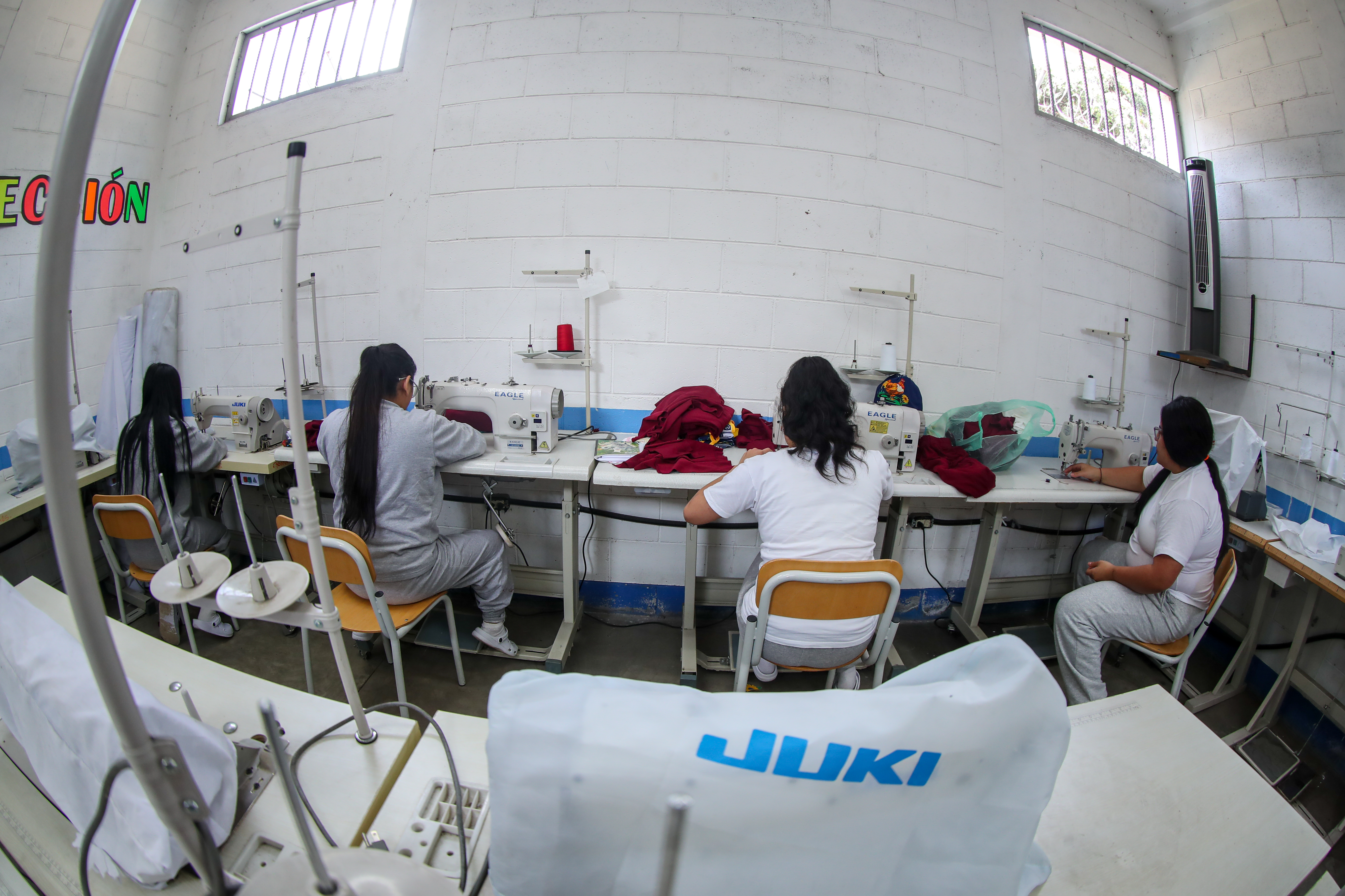 Vidas que resurgen pese a la sombra del encierro