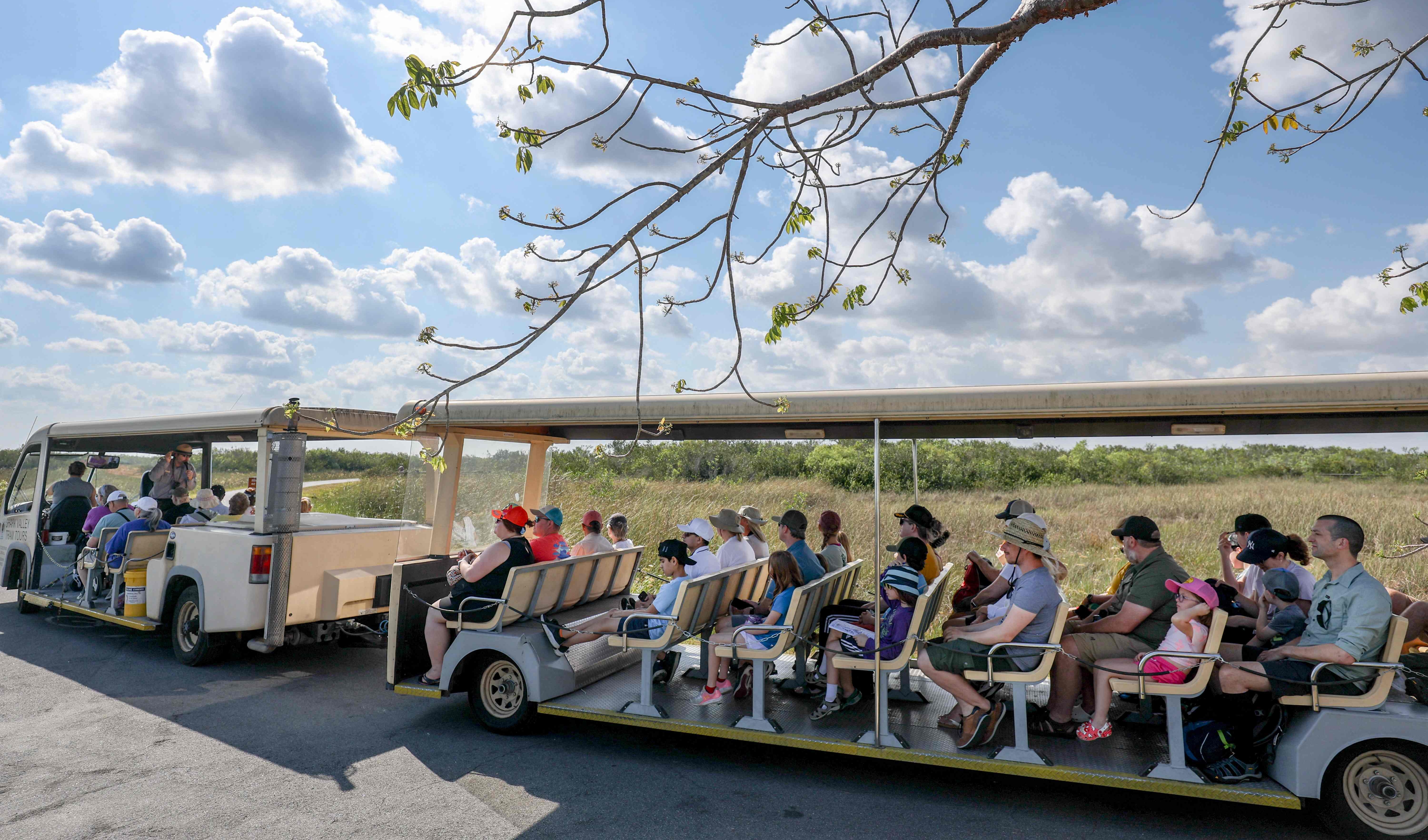 Servicio de Parques Nacionales en los Everglades, Florida.
