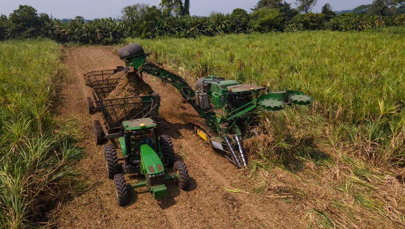 El inicio de la molienda de caña de azúcar por parte de los ingenios ubicados en esa región está previsto para esta semana. (Foto Prensa Libre: Hemeroteca PL)