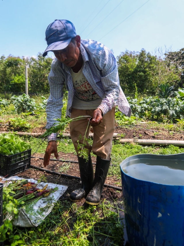 Expectativa ante posible ajuste del salario mínimo 2026