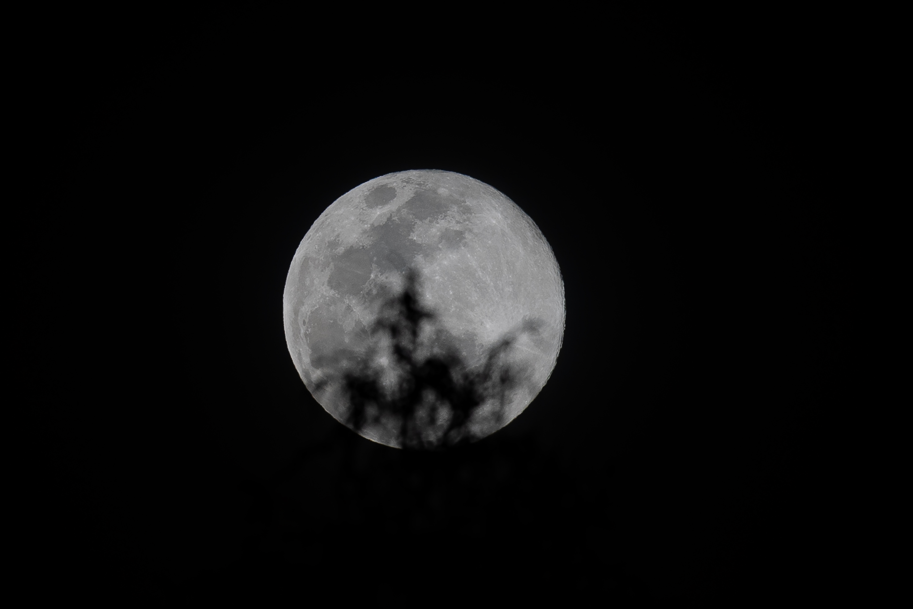 AME5927. TOACASO (ECUADOR), 04/12/2025.- Fotografía que muestra la luna llena este jueves, en Toacaso (Ecuador). Ésta es la última superluna del año, cuando por su cercanía a la tierra, se aprecia hasta un 15% más grande y con brillo de lo habitual. EFE/José Jácome