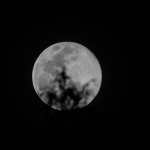 AME5927. TOACASO (ECUADOR), 04/12/2025.- Fotografía que muestra la luna llena este jueves, en Toacaso (Ecuador). Ésta es la última superluna del año, cuando por su cercanía a la tierra, se aprecia hasta un 15% más grande y con brillo de lo habitual. EFE/José Jácome