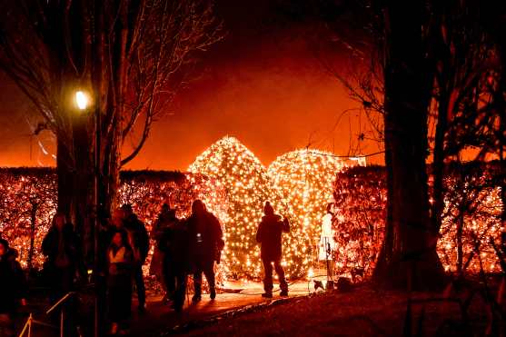 BERLIN (Germany), 09/12/2025.- Visitors look at light decorations iiluminating 'Christmas Garden Berlin 2025' in Berlin's Botanical Garden in Berlin, Germany, 09 December 2025. The traditional Christmas Garden Berlin event, held annually during the Christmas season, takes place on the grounds of the Botanical Garden in the German capital. (Alemania) EFE/EPA/FILIP SINGER
