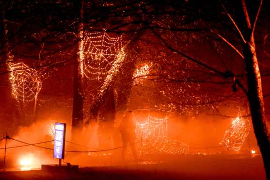 BERLIN (Germany), 09/12/2025.- Visitors look at light decorations iiluminating 'Christmas Garden Berlin 2025' in Berlin's Botanical Garden in Berlin, Germany, 09 December 2025. The traditional Christmas Garden Berlin event, held annually during the Christmas season, takes place on the grounds of the Botanical Garden in the German capital. (Alemania) EFE/EPA/FILIP SINGER