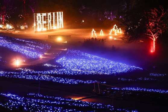 BERLIN (Germany), 09/12/2025.- Light decorations iiluminate 'Christmas Garden Berlin 2025' in Berlin's Botanical Garden in Berlin, Germany, 09 December 2025. The traditional Christmas Garden Berlin event, held annually during the Christmas season, takes place on the grounds of the Botanical Garden in the German capital. (Alemania) EFE/EPA/FILIP SINGER