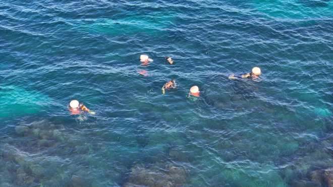 JEJU ISLAND (Korea, Republic Of), 10/12/2025.- Haenyeo, female divers, collect seafood in waters off Jeju Island, South Korea, 10 December 2025. (Corea del Sur) EFE/EPA/YONHAP SOUTH KOREA OUT