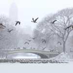 Tormenta invernal en EE. UU.