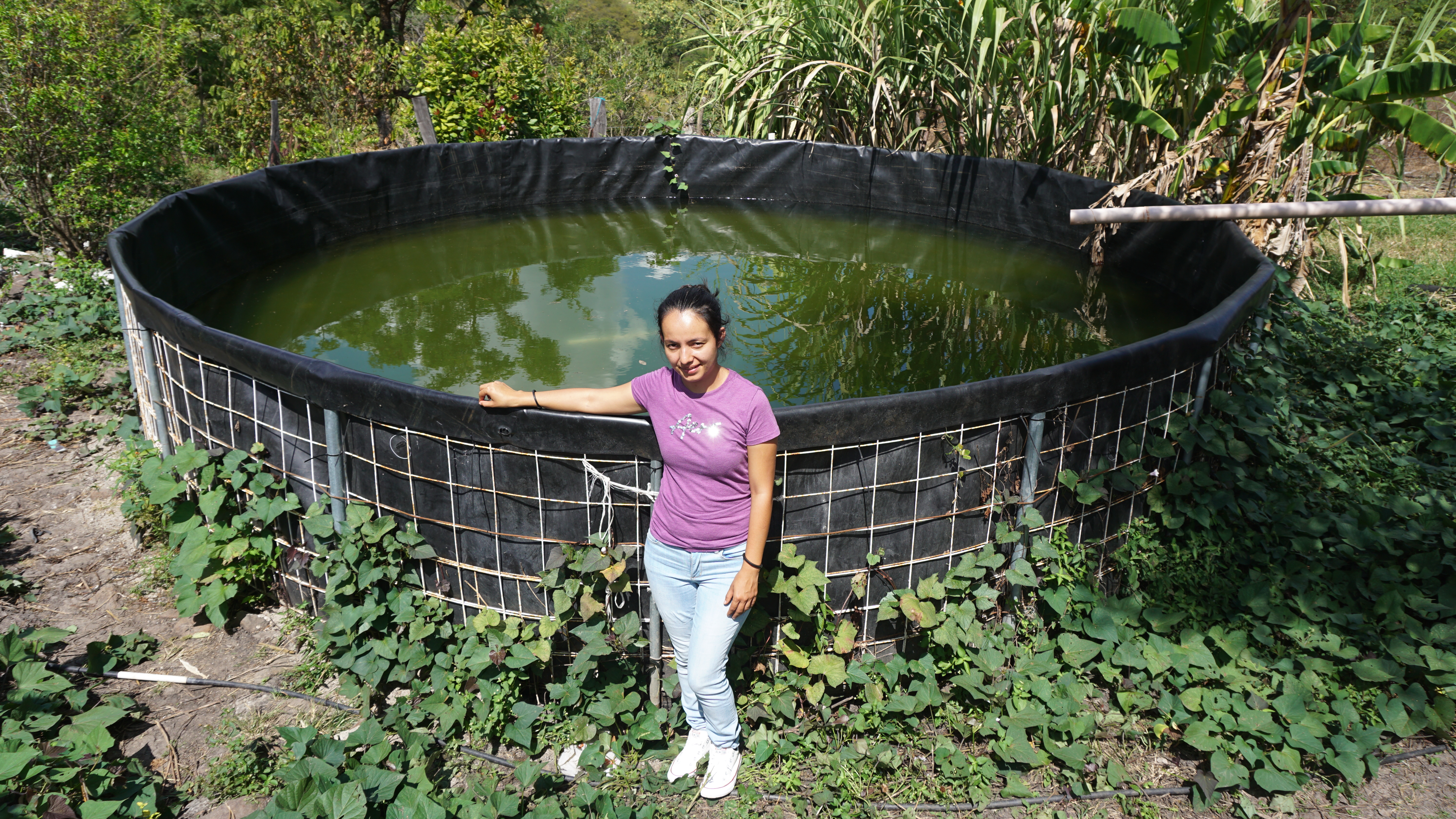 CORREDOR SECO JALAPA 04'