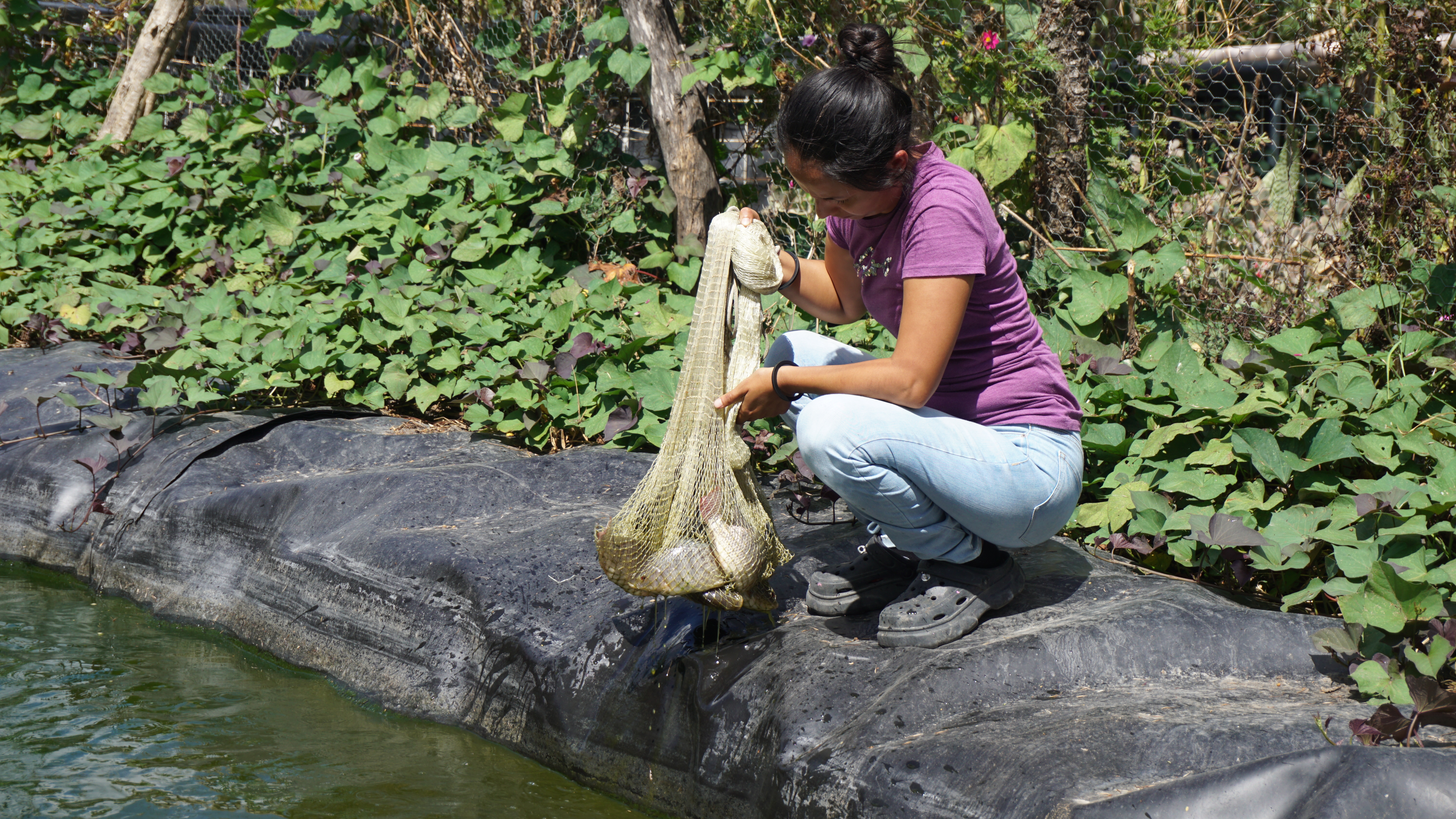 CORREDOR SECO JALAPA 05'