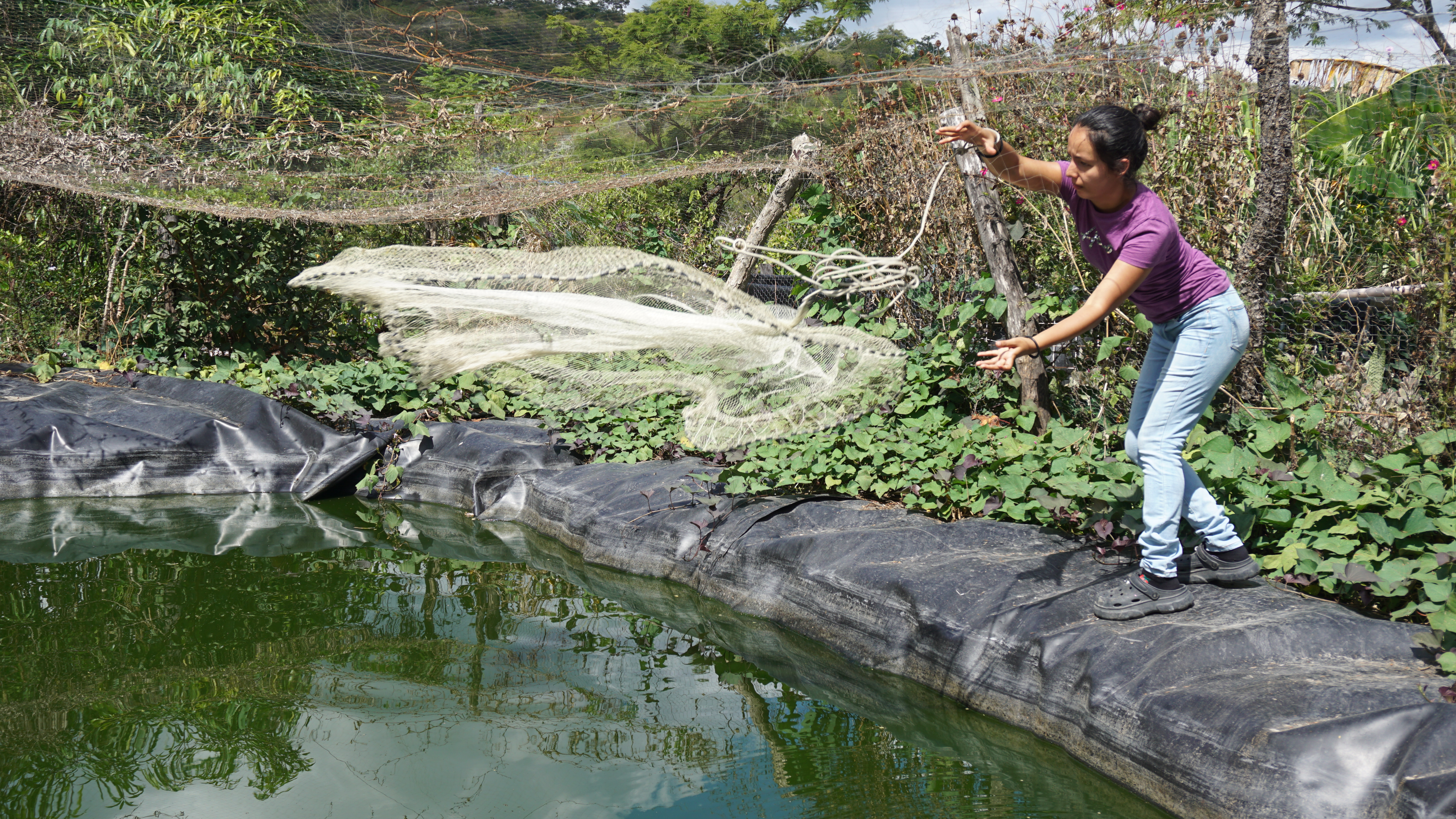 CORREDOR SECO JALAPA 10'