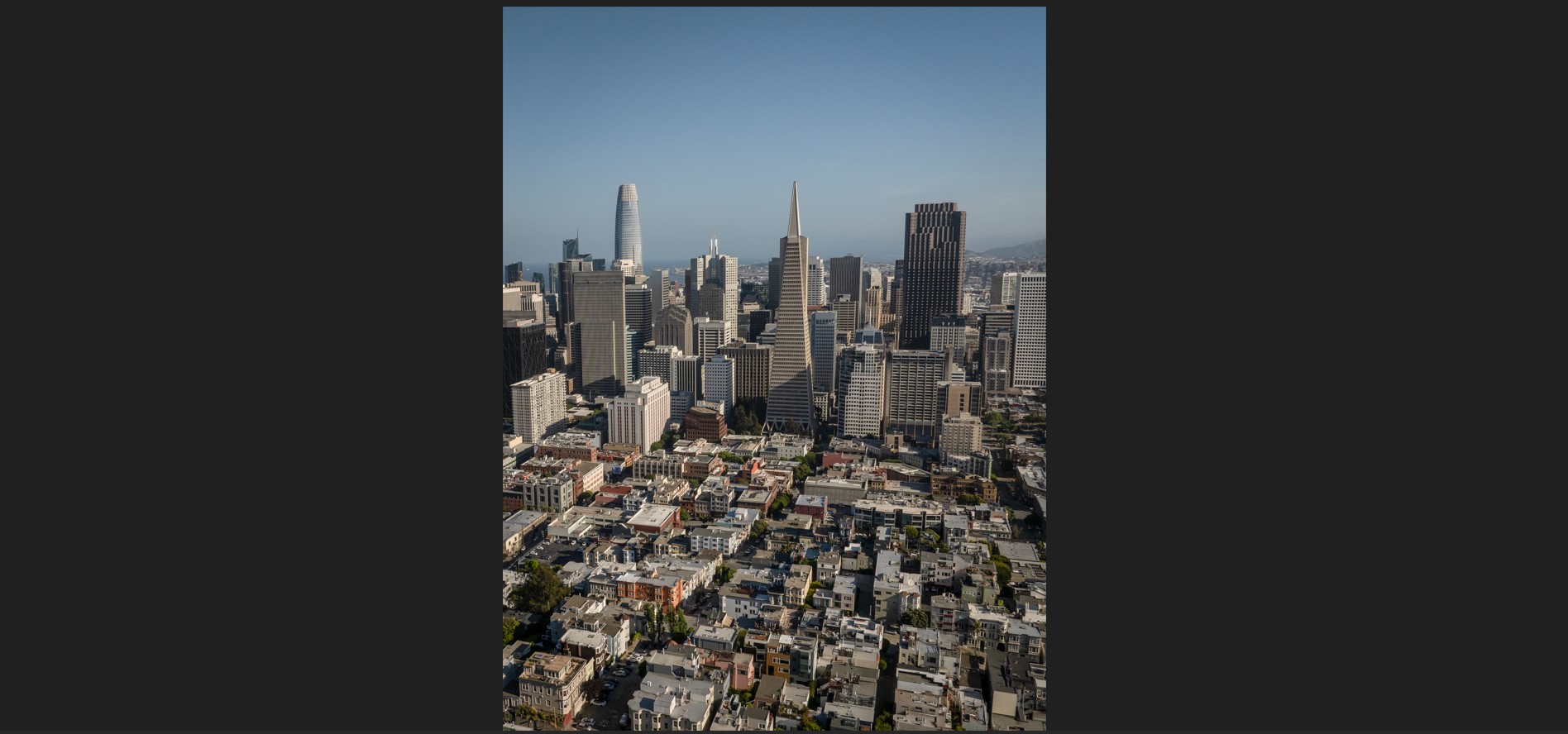 Por qué el auge de la inteligencia artificial no es como el de las puntocom