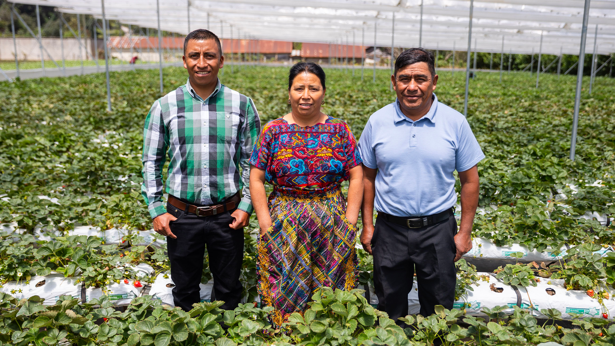 Fotos Prensa Libre: Cortesía Walmart.