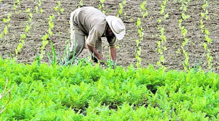 Presidente Arévalo analiza propuesta técnica para definir salario mínimo del 2