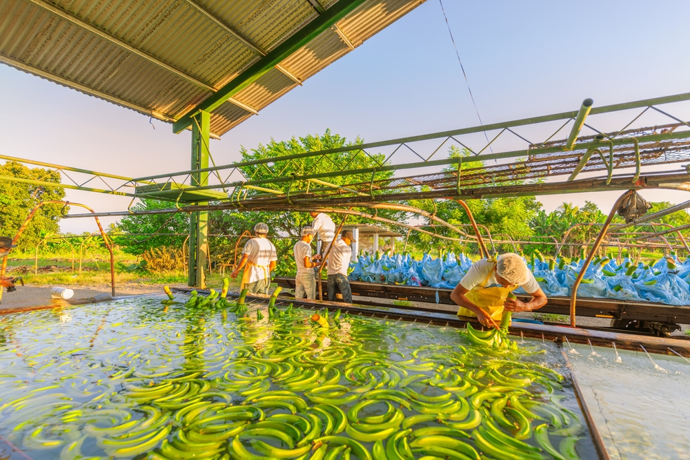 Gobierno convoca a comisiones paritarias para discutir salario mínimo 2027-2028