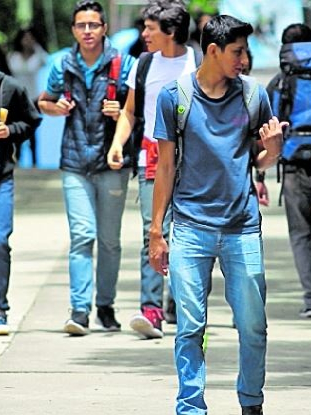 Mineduc abrirá 504 institutos de nivel medio el otro año