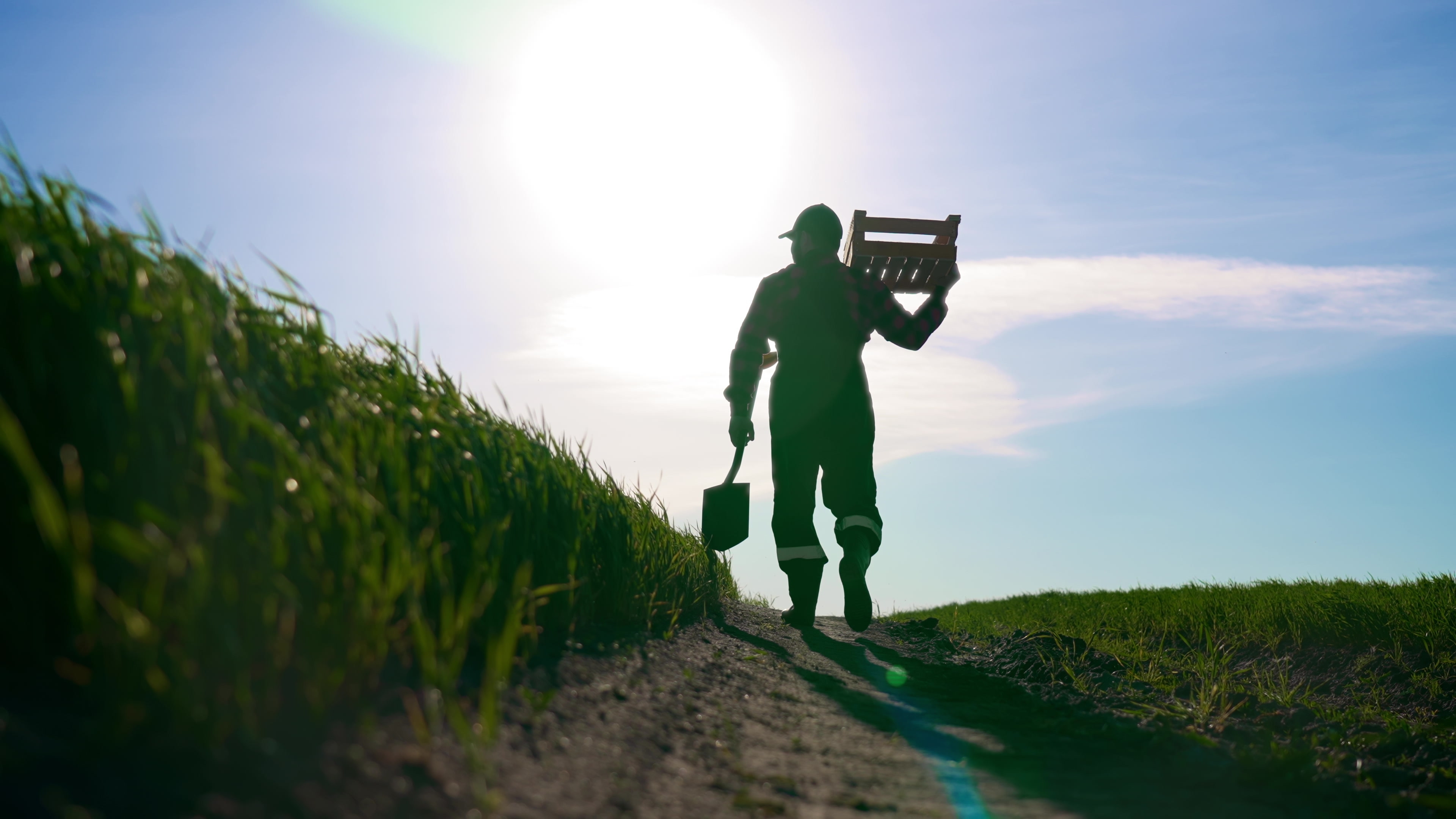 Agricultores han resultado afectados por las reacciones a las políticas comerciales y arancelarias impuestas por Trump, por lo que recibirían ayuda. (Foto de referencia: Prensa Libre: Shutterstock)