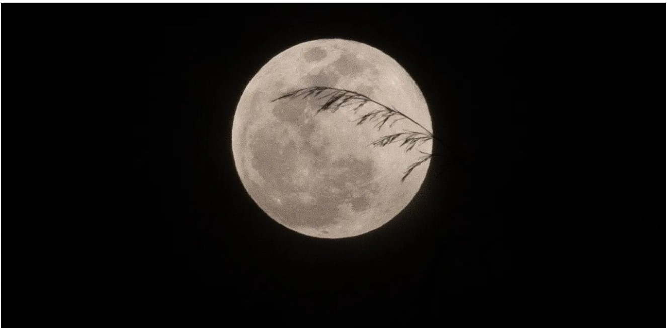 El día más corto del año, superluna y otros sorprendentes fenómenos que trae diciembre