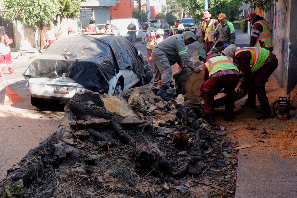 MEX6411. CIUDAD DE MÉXICO (MÉXICO), 02/01/2026.- Trabajadores retiran un árbol que cayó sobre un vehículo tras un sismo este viernes, en Ciudad de México (México). Un sismo de magnitud 6,5 en la escala  Richter se registró en México a las 7.58 hora local (13.58 GMT), según informó el Servicio Sismológico Nacional. EFE/ Madla Hartz