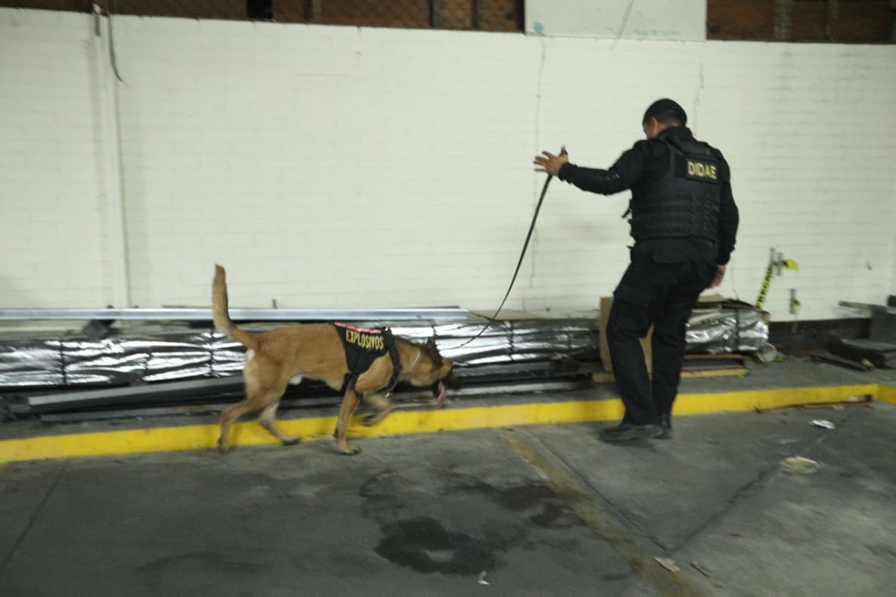 Agente K-9 inspecciona áreas de la Torre de Tribunales tras amenaza de bomba confirmada por el Organismo Judicial. (Byron Baiza)