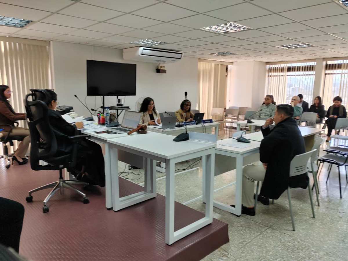 CASO CLAUDIA GONZÁLEZ. DENUNCIA DE B STALING