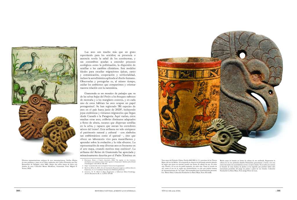 La fauna y flora que observó fray Francisco Ximénez hace 300 años es revisada por expertos y publicada en obra histórica