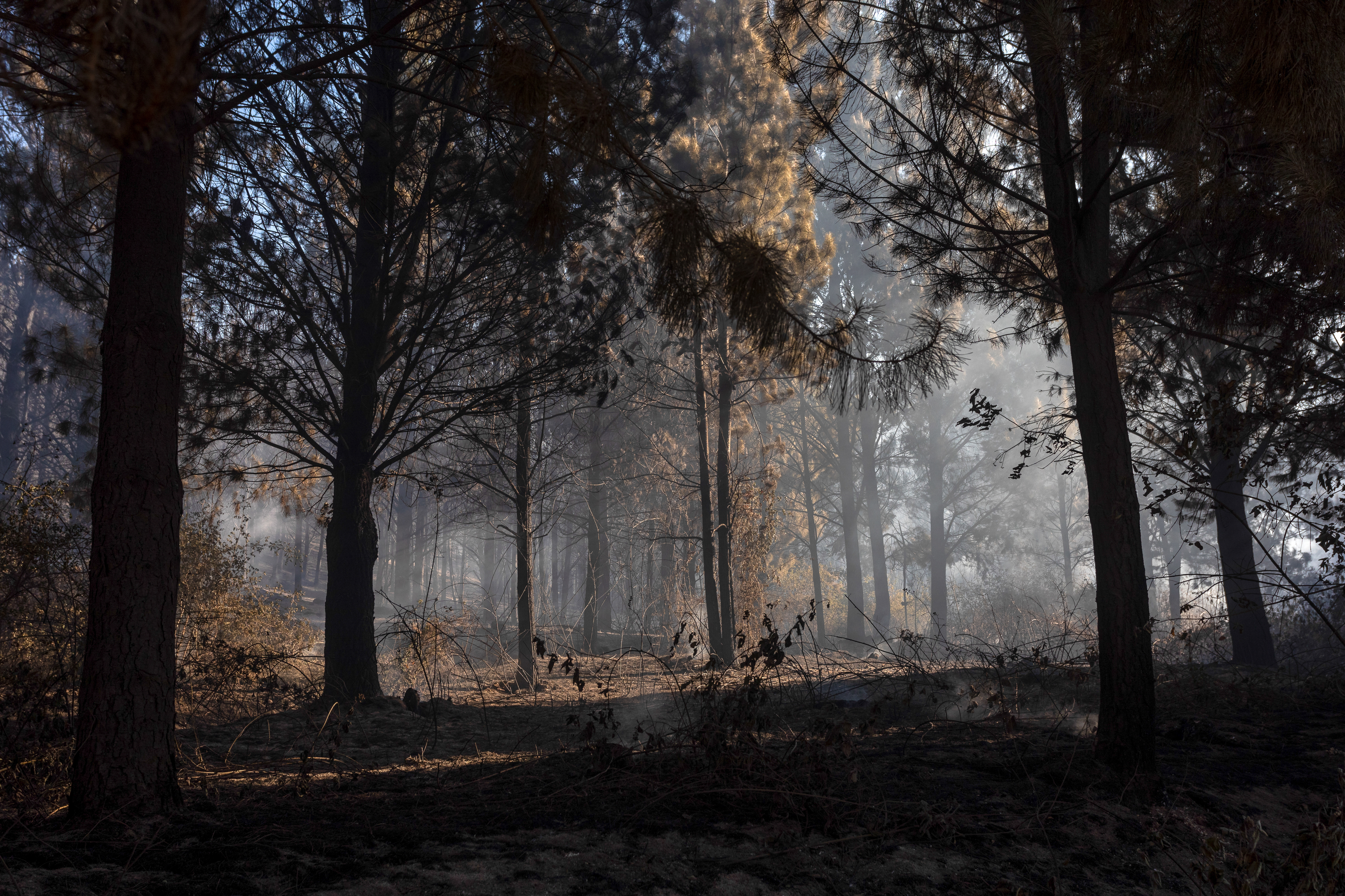 INCENDIO PATAGONIA ARGENTINA'