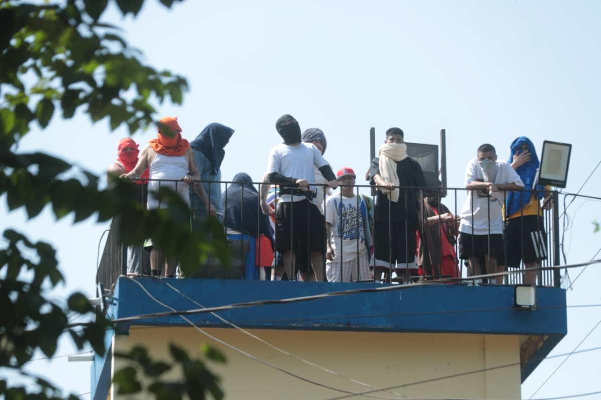 RENOVACIÓN 1. MOTÍN