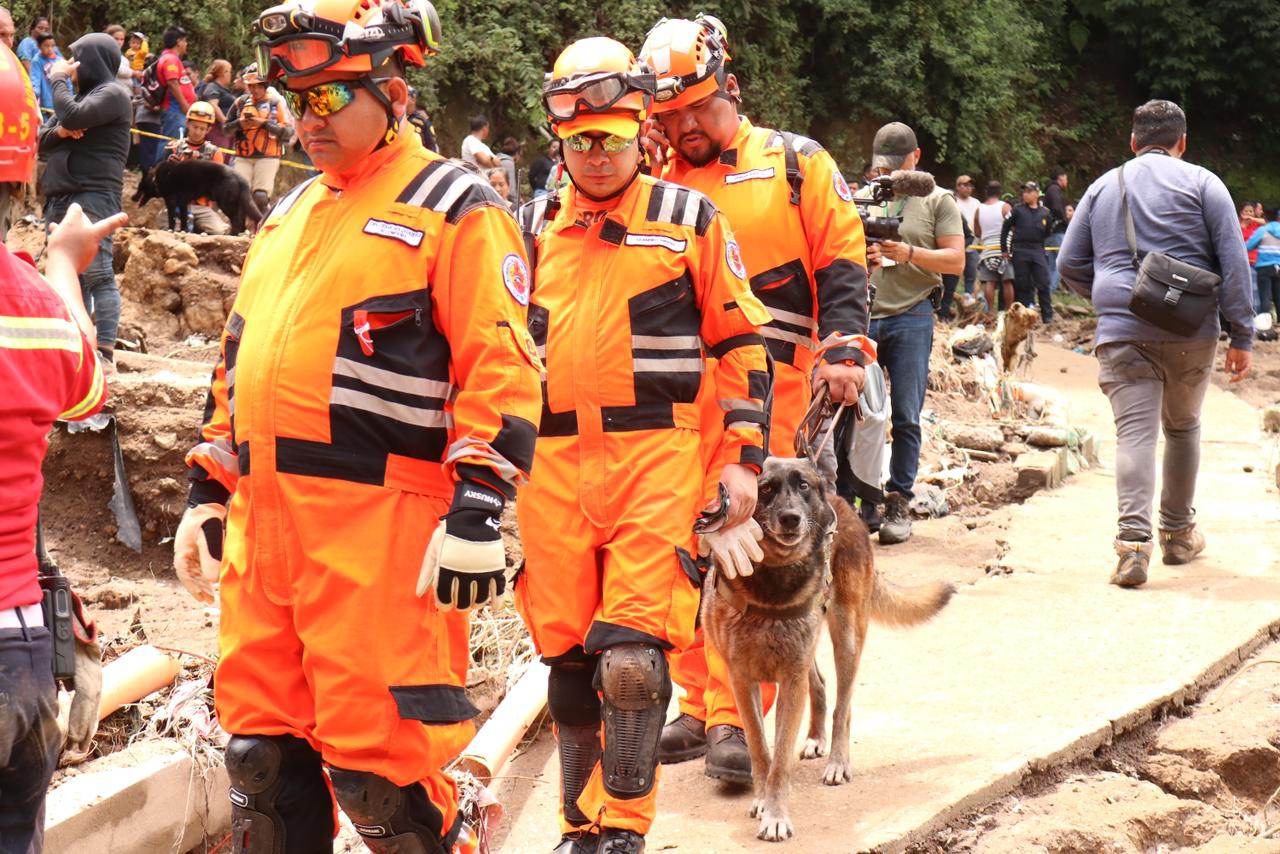 Roger, el perro rescatista de los Bomberos Voluntarios, durante una misión de búsqueda. Sirvió por 11 años en Guatemala y fue pionero en técnicas de localización canina. (Foto Prensa Libre: Bomberos Voluntarios)